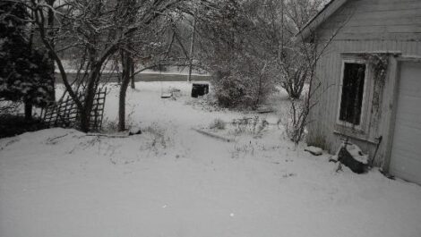 Winter Winners This Year Image